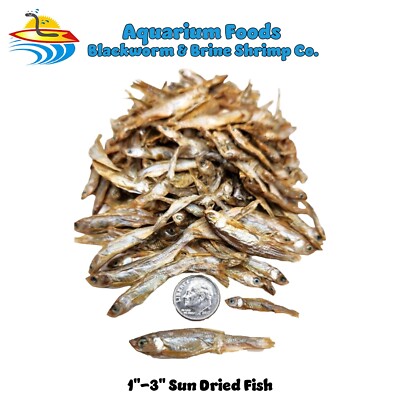 3''- 5'' SUN DRIED RIVER FISH FOR TURTLES, REPTILES, BIRDS, PIRHANAS, MONSTER FISH