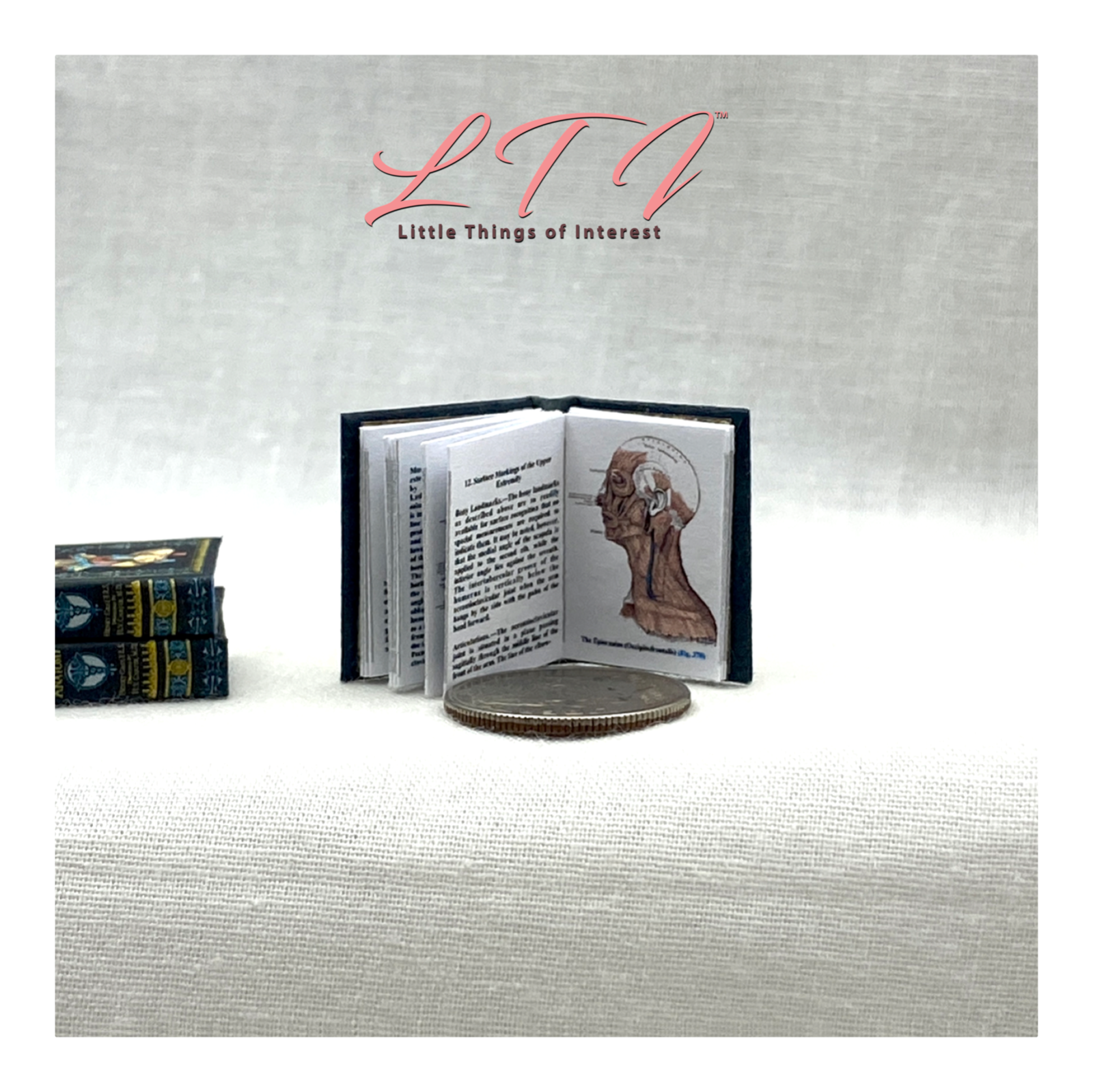 GRAY'S ANATOMY MEDICAL 1:12 Scale Miniature Readable Illustrated Book Doctor