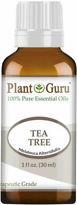 Tea Tree Essential Oil 100% Pure Therapeutic Grade Melaleuca Alternifolia