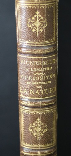 1869 THE CURIOSITIES AND WONDERS OF NATURE Text by Munerelle; Drawings Lemaître