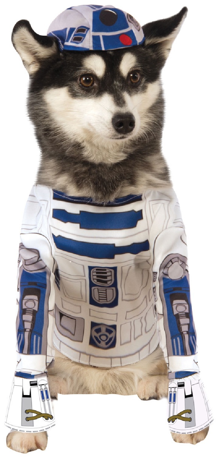 Hund Katze Star Wars Yoda Ewok Atat Leia Darth Vader BB8 R2D2 Kostüm eBay