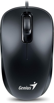 Genius DX-110 mouse, optical, 1000 dpi, wired, PS2, black