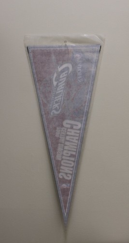 2009 CAVALIERS CENTRAL DIVISION CHAMPIONS PREMIUM 12X30 PENNANT FREE SHIPP #PE19