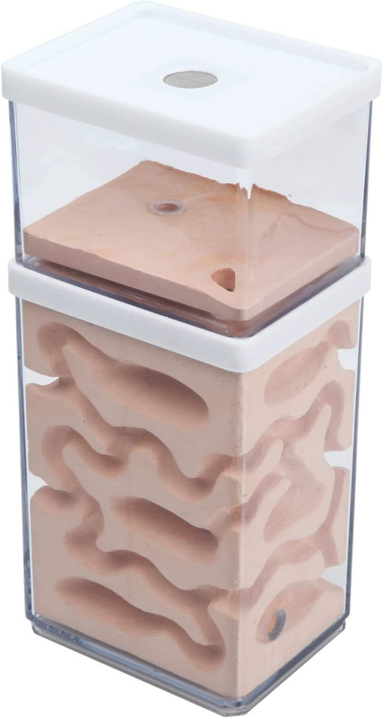 Ameisennest Formicarium für Ameisen Zucht Ameisenfarm 10x8x15cm