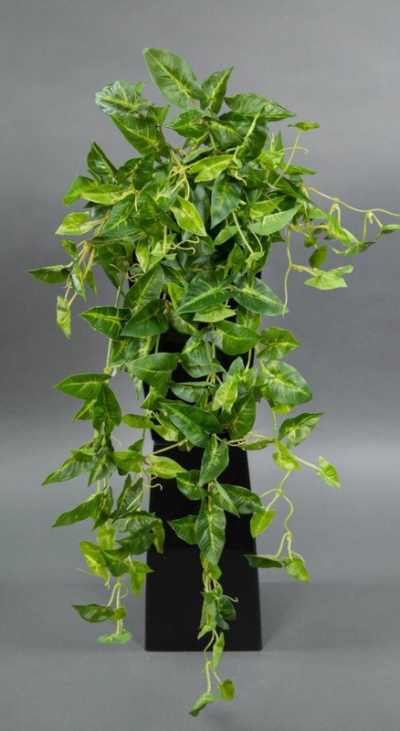 Syngonium-Ranke Real Touch 65cm GrüN-Gelb Zf Kunstpflanzen KüNstliche Pflanzen