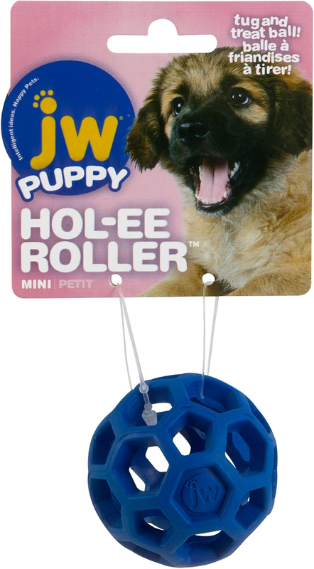 Pet 43109 Hol-Ee Roller 9Cm, Asst Blue, Green, Purple & Red, Mini