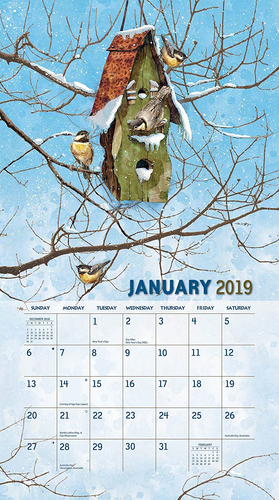 Lang Birdhouses 2019 Wall Calendar Office Wall Calendar 19991001850
