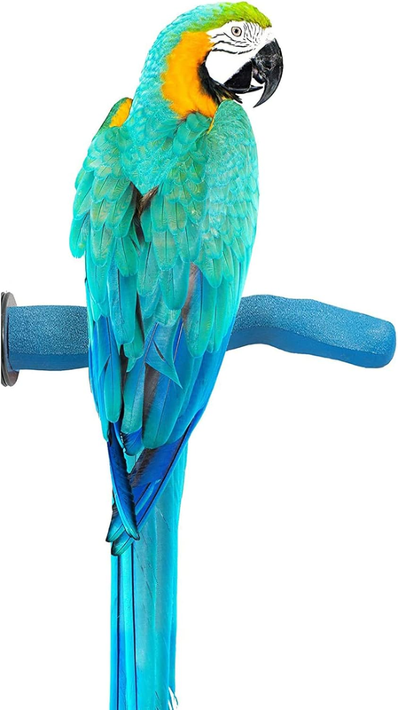 Safety Pumice Perch Bird Toy - Trims Nails and Beak - Promot