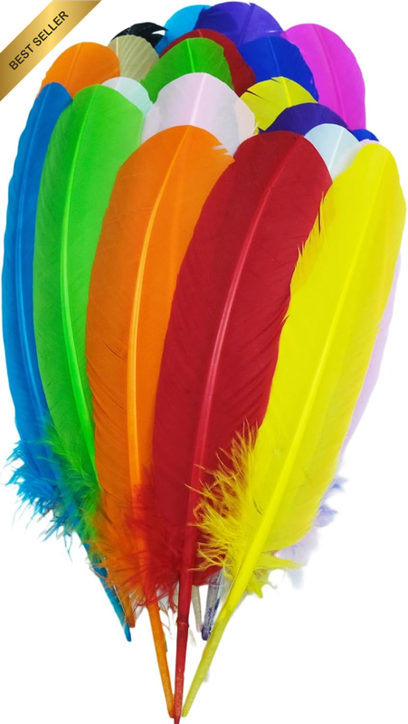 Feathers for Crafting Natural Large Turkey Feathers 24Pcs 10-12 Inches Bulk Craf