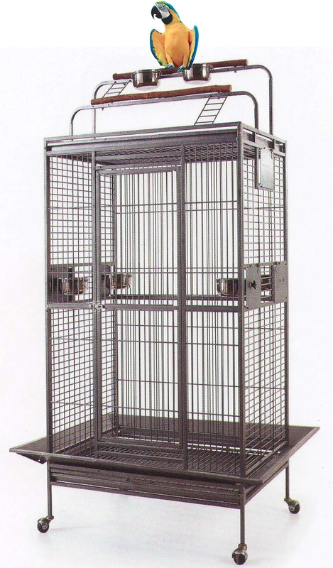 Photo inspiration: Fresh Look at Double Ladders Large Elegance Wrought Iron Bird Parrot Stand Perch