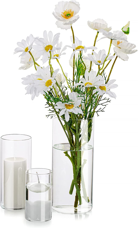 Glasseam Glass Cylinder Vases Set of 3, Hurricane Candle Holder Clear Different