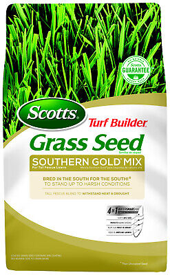 Scotts Turf Builder Southern Gold Grass Seed Mix For Tall Fescue Lawns 40