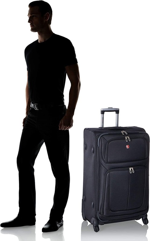 Sion Softside Expandable Roller Luggage, Black, Checked-Large 29-Inch