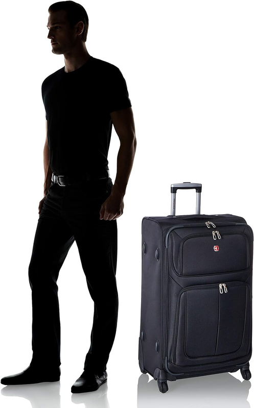 Sion Softside Expandable Roller Luggage, Black, Checked-Large 29-Inch