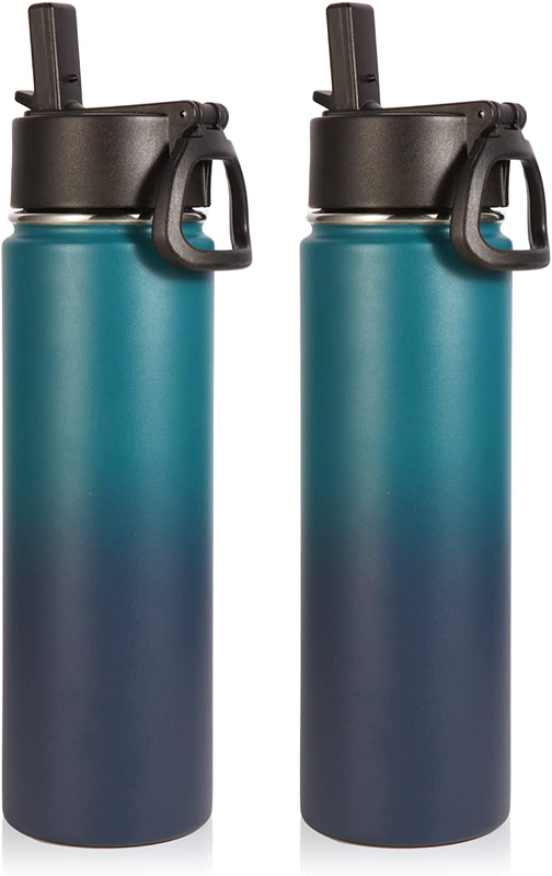 With Straw Bulk 2 Pack, 22 Oz Stainless Steel Sports Bot