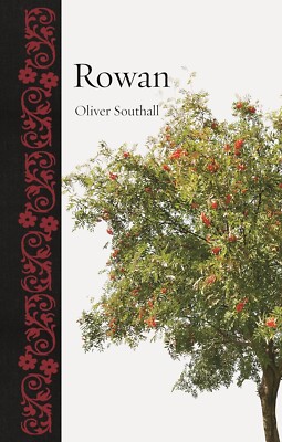 ROWAN by Southall/Trees/Biology/Botany Gardens/Nature/NEW/HB/103 Illustrations