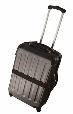 Vin Garde Valise Wine Travel Case