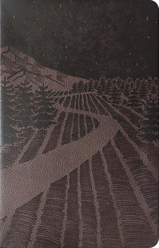 Picture 3 of 4