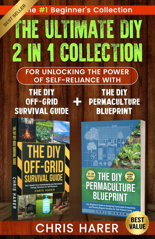 The Ultimate 2 in 1 DIY Collection: the #1 Beginner'S Collection for Unlocking t