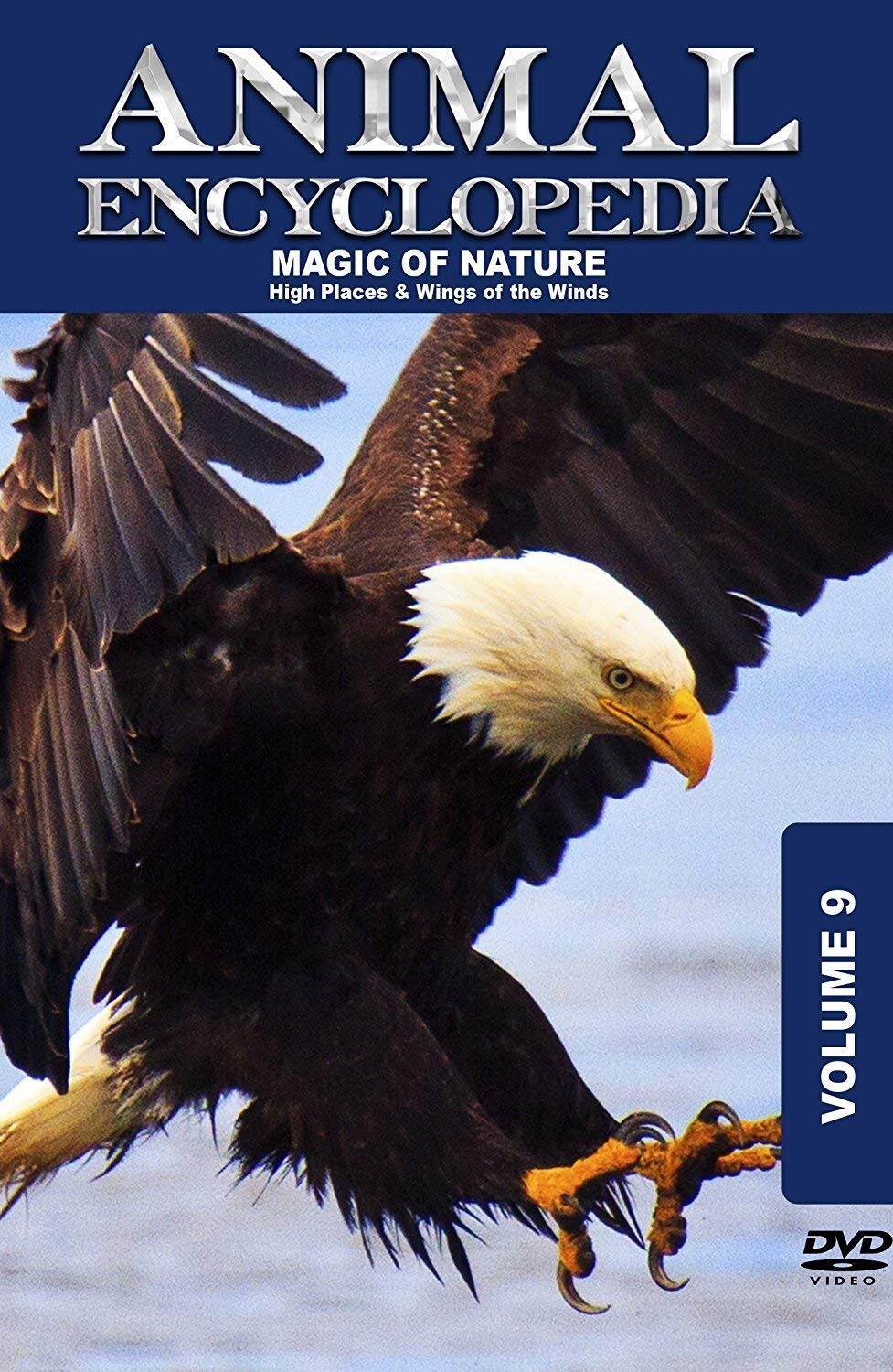 その他 Animal Encyclopedia 5: Hot Creatures [DVD] Animal Encyclopedia 5: Hot Creatures [DVD]