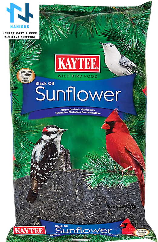 Kaytee Wild Bird Food Black Oil Sunflower - 5 Lb