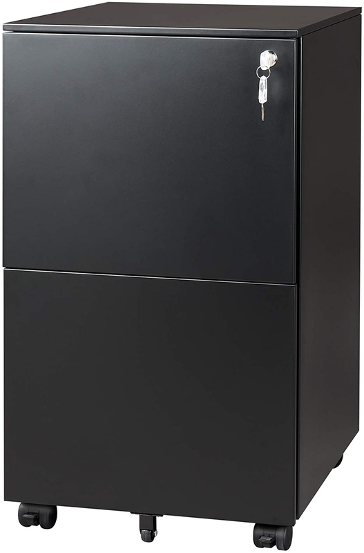 DEVAISE 2-Drawer Mobile File Cabinet with Lock, Commercial Vertical Cabinet in B