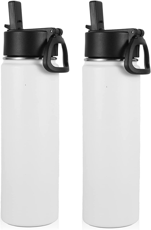 With Straw Bulk 2 Pack, 22 Oz Stainless Steel Sports Bot