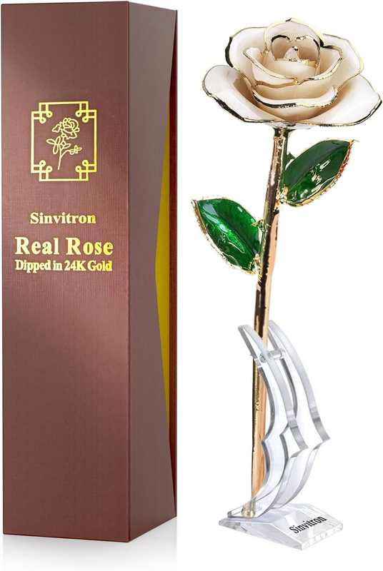 Gold Dipped Infinity Rose Forever Flower Decor, Resin Preserved Real Rose Birthday Gift for Women, Anniversary Present for Mom (Ivory White)