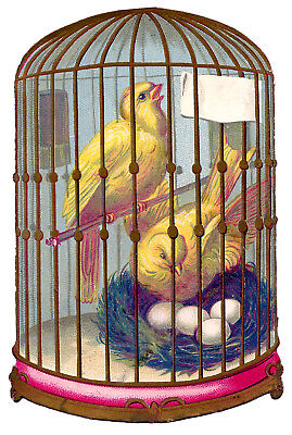 ☆ CAGE PET BIRDS AVIARY PIGEON PARROT CANARY BUDGY - Dozens of Book Scans!
