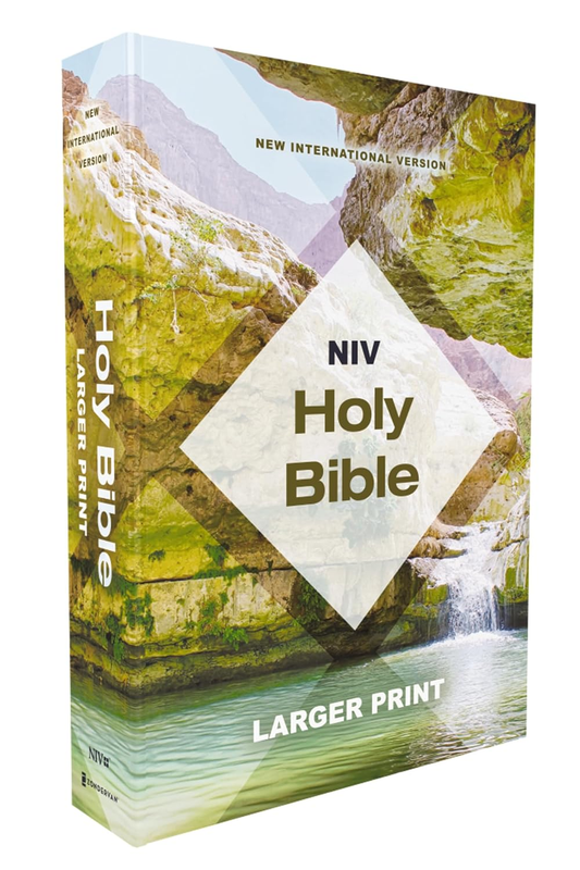 NIV, Holy Bible, Larger Print, Economy Edition, Paperback, Teal/Tan, Comfort Pri