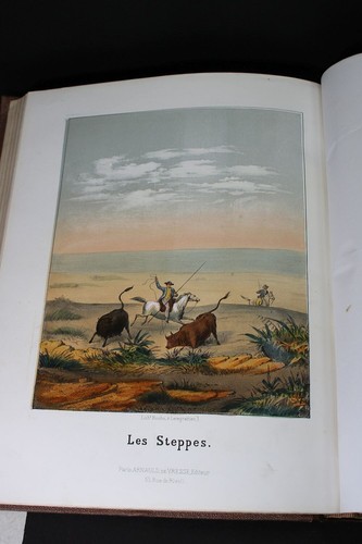 1869 THE CURIOSITIES AND WONDERS OF NATURE Text by Munerelle; Drawings Lemaître