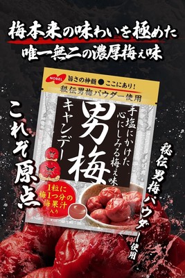 Otoko ume Japanese Plum flavor Candy 80g  Nobel  from Japan