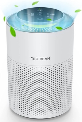 TEC.BEAN Air Purifiers H13 True HEPA Air Filter for Allergies Smoke Odor Pet (Best Air Filter For Home Ac)