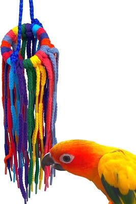 Aglet Heaven Parrot Bird Toy 11.00'' High X 2.25'' Wide, Conure Quaker Cockatiel