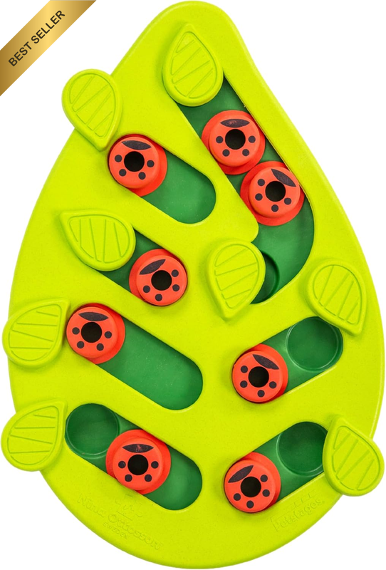 Interactive Cat Treat Puzzle Feeder Buggin' Out Mental Play Enrichment