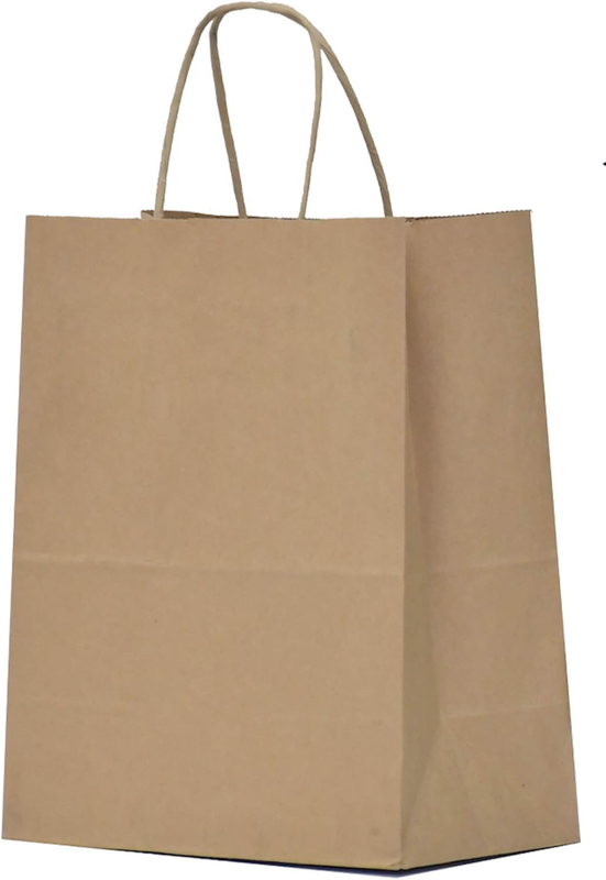 Kraft Paper Gift Bags with Handles 8X4.5X10 25Pcs Brown Gift Bags Bulk Medium Si