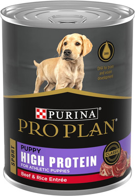 Purina Pro Plan High Protein with Beef & Rice Entree Wet Puppy Food, 12X 13 oz