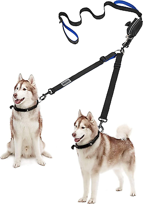 Dog tie out store for two dogs