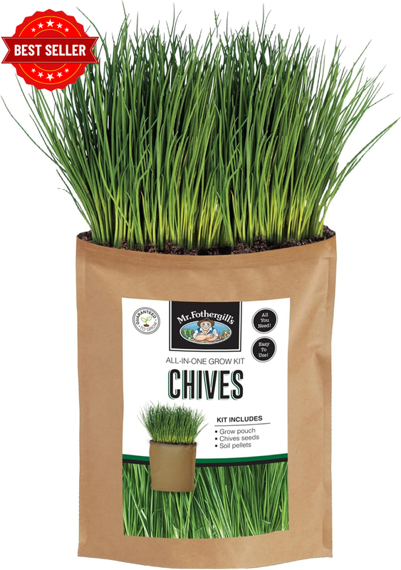 Mr Fothergill’S Chives Pouch Grow in Bag – Indoor Herb Starter Kit, No Pot Plant