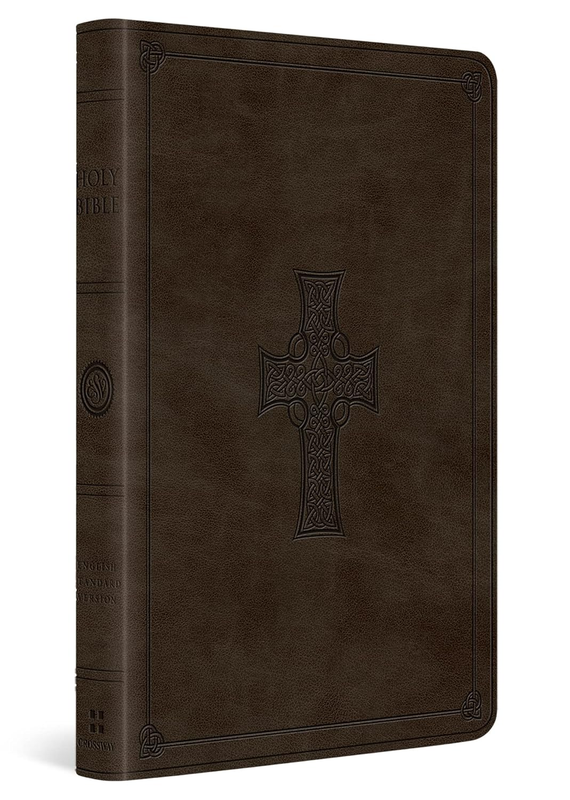 ESV Large Print Value Thinline Bible
