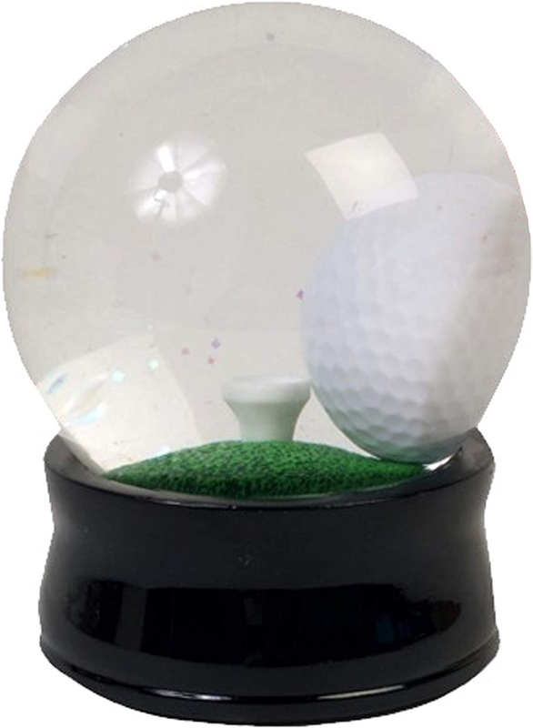 Unique Decorative Gift For Enthusiasts Glass Plastic