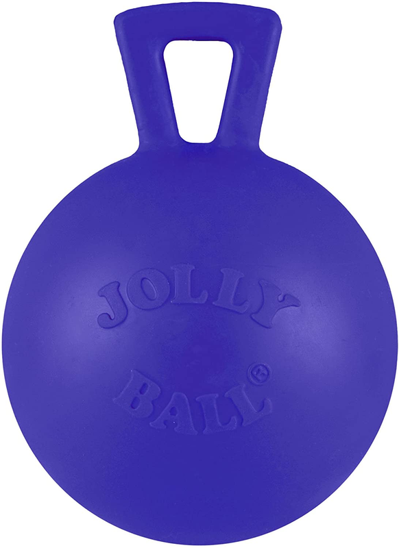 Jolly Pets Tug-N-Toss Heavy Duty Dog Toy Ball with Handle, 4