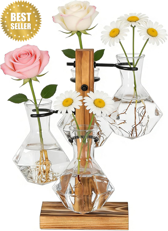 Planter Terrariums Kit, Desktop Hydroponic Vase