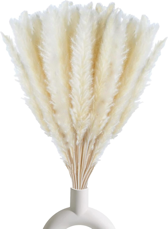 30 Pcs White Pampas Grass,17 inch/45 cm Natural Dried Pampas Grass Branches Deco