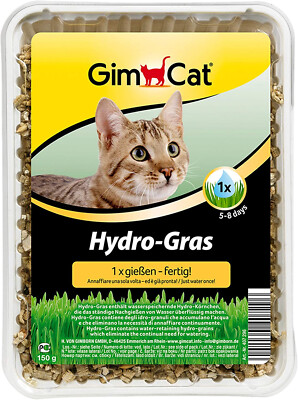 GimCat Hydro-Gras Frisches Katzengras Ergänzungsfuttermittel Schale 150 g