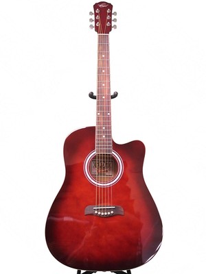 Washburn oscar schmidt oe30