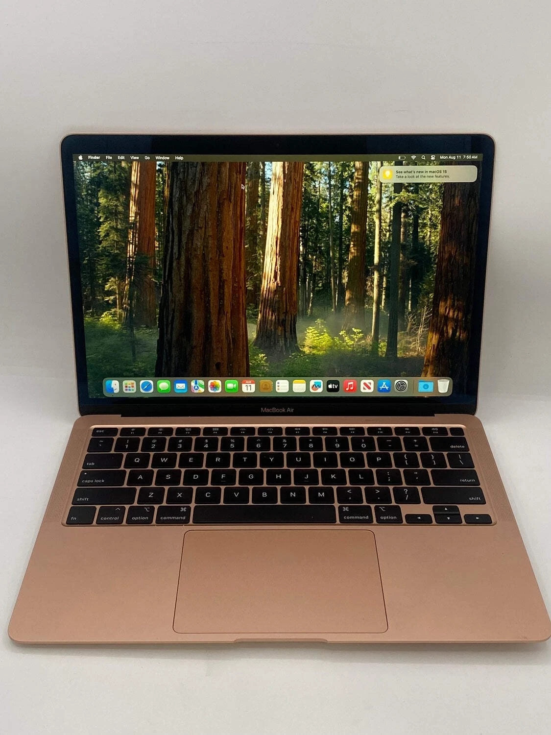 2020 Apple MacBook Air 13.3