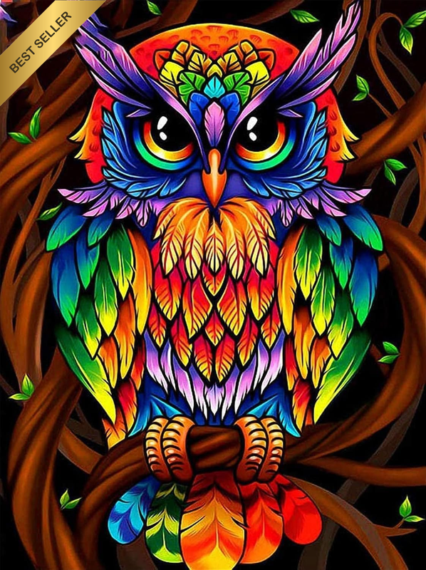 Cross Stitch Embroidery Kits Pre-Printed Colourful Owl Pictures 11CT 14.2 X 18.1