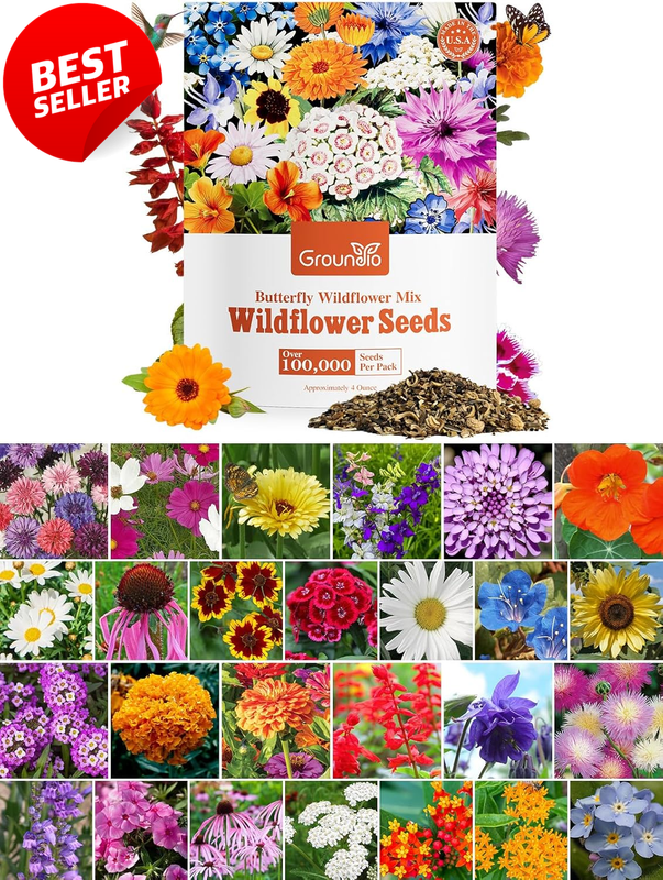 Wildflower Seeds 1/4 lb 100K Mix 26 Var Pollinator Garden Zones 3-10 - US