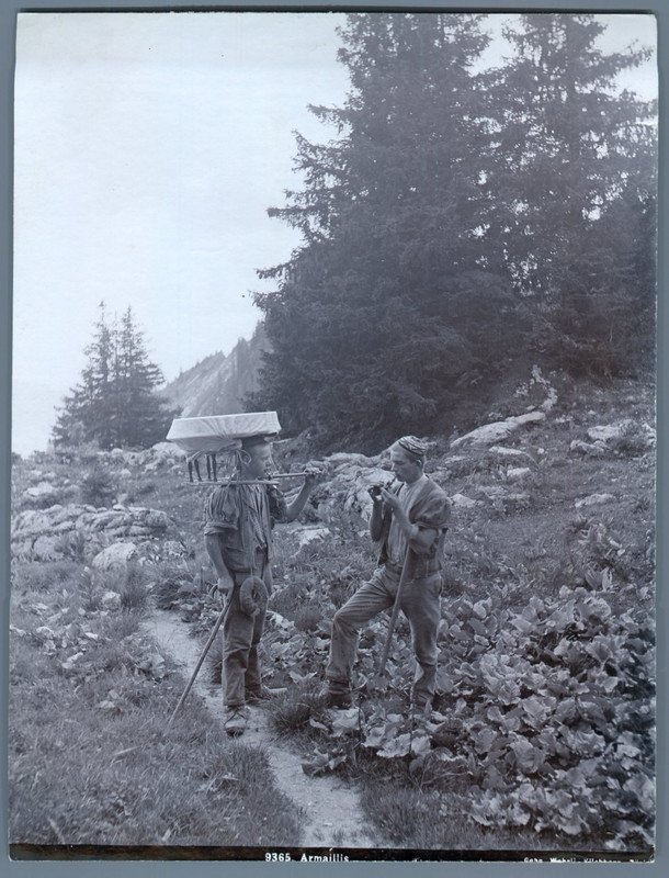 Wehrli. Suisse, Armailli Vintage Print.  Tirage Argentique  16x21  Circa 1